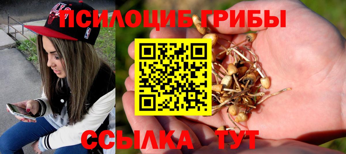 Псилоцибиновые грибы прущие грибы Удомля